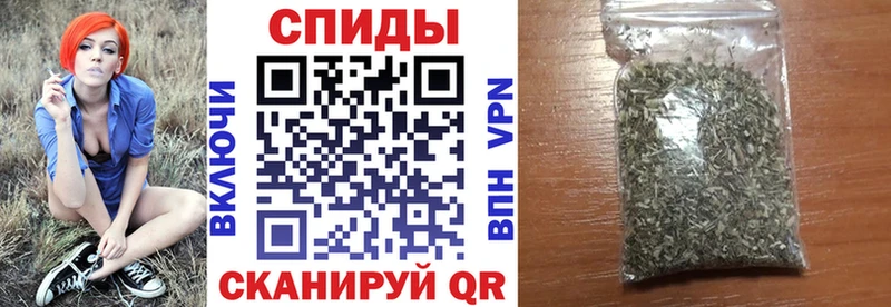 где найти   Чишмы  Бутират BDO 