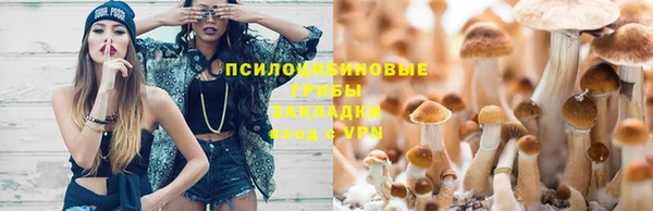 бошки Волоколамск