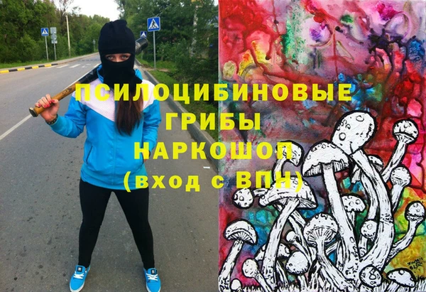 бошки Волоколамск