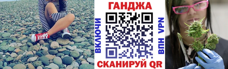 Канабис гибрид  Чишмы 